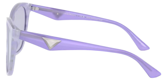 Emporio Armani EA4222U Sunglasses
