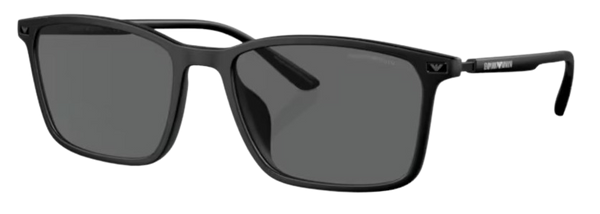 Zonnebrillen Emporio Armani EA4223U