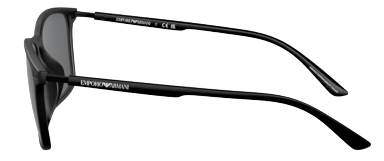 Emporio Armani EA4223U Sunglasses
