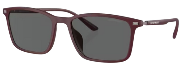 Zonnebrillen Emporio Armani EA4223U