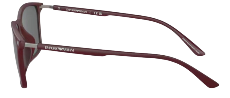 Emporio Armani EA4223U Sunglasses