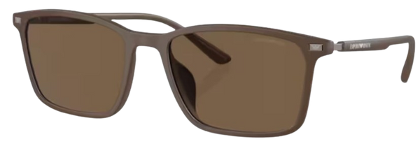 Zonnebrillen Emporio Armani EA4223U