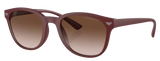 Emporio Armani EA4225U Sunglasses