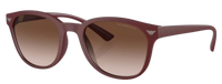 Emporio Armani EA4225U Sunglasses