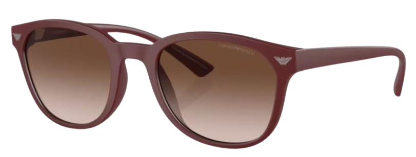 Emporio Armani EA4225U Sunglasses