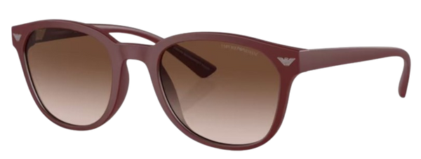 Zonnebrillen Emporio Armani EA4225U
