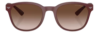 Emporio Armani EA4225U Sunglasses