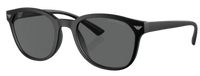 Emporio Armani EA4225U Sunglasses
