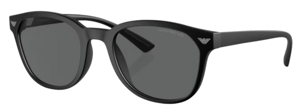 Zonnebrillen Emporio Armani EA4225U
