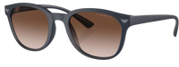 Emporio Armani EA4225U Sunglasses