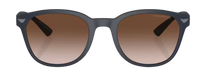 Emporio Armani EA4225U Sunglasses