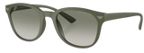 Emporio Armani EA4225U Sunglasses