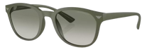 Emporio Armani EA4225U Sunglasses