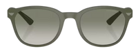 Emporio Armani EA4225U Sunglasses