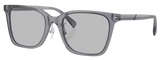 Lunettes de Soleil Emporio Armani EA4226D