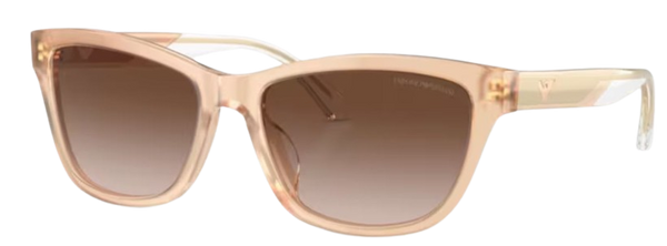 Emporio Armani EA4227U zonnebril
