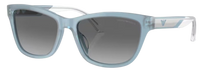 Emporio Armani EA4227U Sunglasses