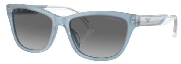 Emporio Armani EA4227U zonnebril