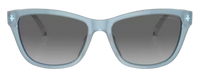 Emporio Armani EA4227U Sunglasses