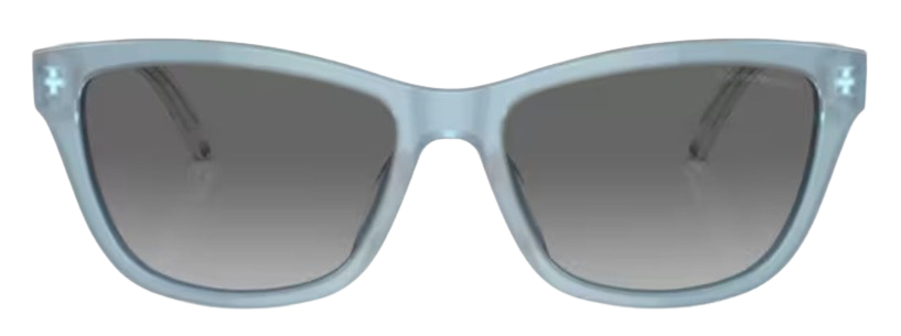 Emporio Armani EA4227U Sunglasses