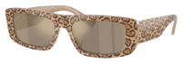 Emporio Armani EA4229U Sunglasses