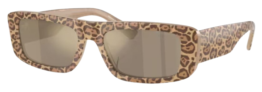 Emporio Armani EA4229U Sunglasses
