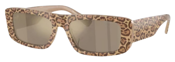Emporio Armani EA4229U zonnebril