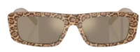 Emporio Armani EA4229U Sunglasses