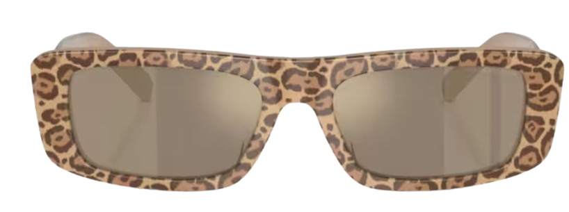 Emporio Armani EA4229U Sunglasses
