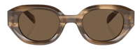 Emporio Armani EA4230U Sunglasses