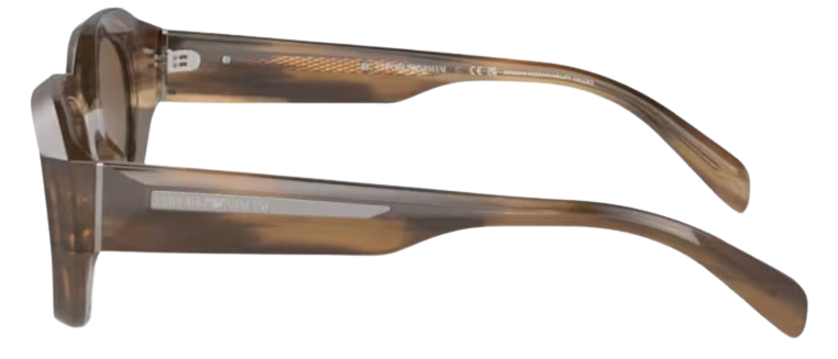 Emporio Armani EA4230U Sunglasses