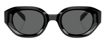 Emporio Armani EA4230U Sunglasses
