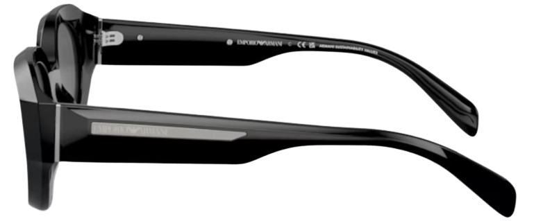 Emporio Armani EA4230U Sunglasses