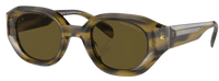 Emporio Armani EA4230U Sunglasses