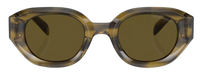 Emporio Armani EA4230U Sunglasses