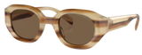 Emporio Armani EA4230U Sunglasses