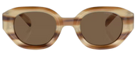 Emporio Armani EA4230U Sunglasses