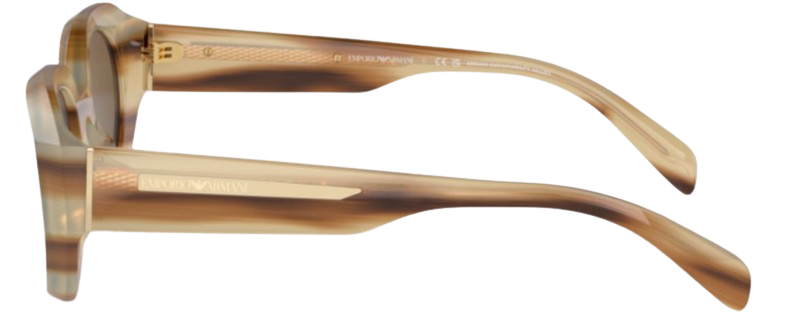 Emporio Armani EA4230U Sunglasses