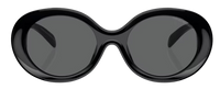 Emporio Armani EA4231U Sunglasses