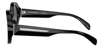 Emporio Armani EA4231U Sunglasses