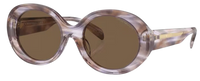 Emporio Armani EA4231U Sunglasses