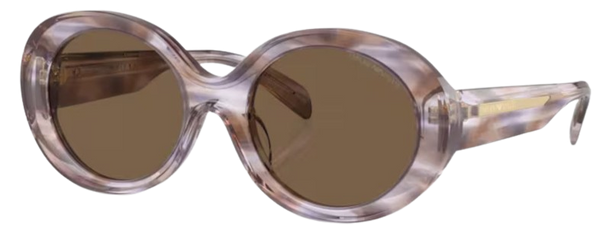 Emporio Armani EA4231U zonnebril