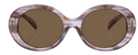 Emporio Armani EA4231U Sunglasses