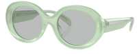 Emporio Armani EA4231U Sunglasses