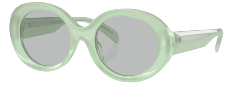 Emporio Armani EA4231U Sunglasses