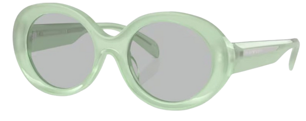 Emporio Armani EA4231U zonnebril