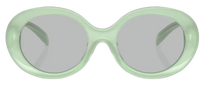 Emporio Armani EA4231U Sunglasses