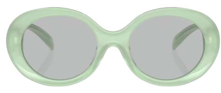 Emporio Armani EA4231U Sunglasses