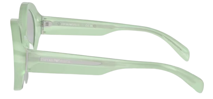 Emporio Armani EA4231U Sunglasses