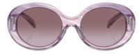 Emporio Armani EA4231U Sunglasses